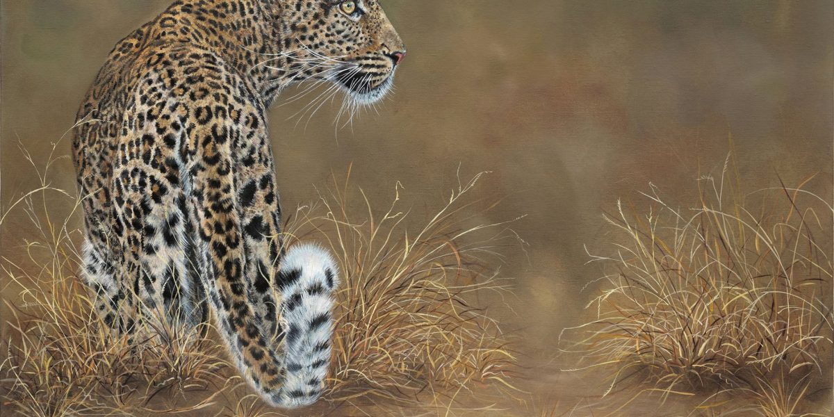 Leopard by Robyn Ansell